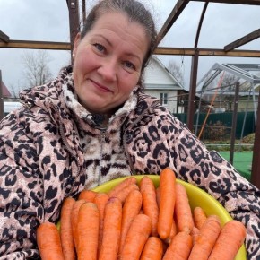 ������� �����������: ��������� �������� ��� ������� �������