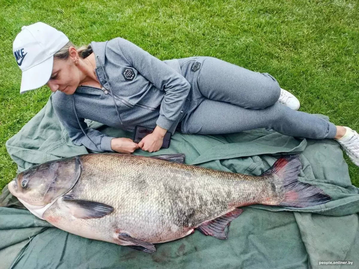 Непревзойденный толстолобик: речная звезда с морскими качествами