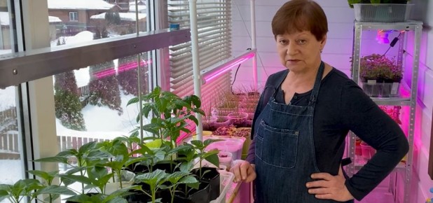 ������� �������� ��������� �������: ��� ����� ����� ��� �������� �����