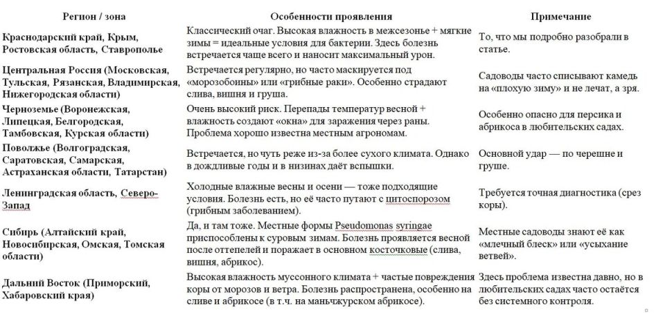 ������������� ���: ��� �������� ���� �� ������
