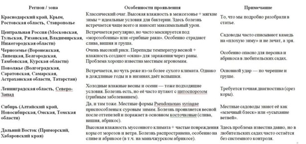 ������������� ���: ��� �������� ���� �� ������