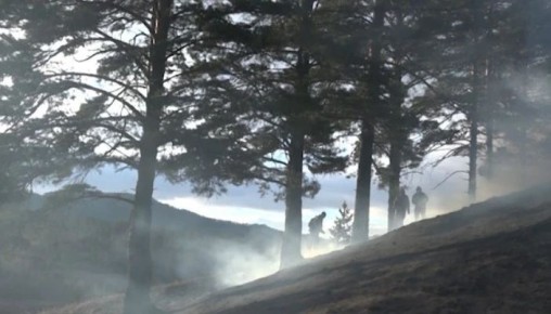 15 лесных и 19 ландшафтных пожаров произошло с начала 2026 года в Забайкалье