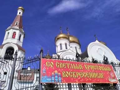 ������ ����, ����������! ������� �����������, 12 ������