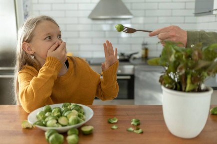 Разрушая мифы: что действительно нужно знать о питании