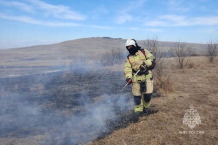 � ���������� ����������� �������������� ����������� �����