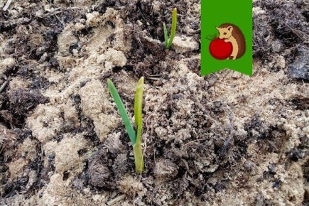 ��� ������ ������� ������� ������� �������� � �������