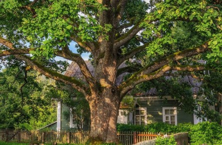 ��������� ������ � ����: ��� ��� ������ ������ �� ������ ������