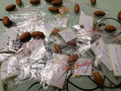 ��� ������� ������������ ������: ������ ������� ���������