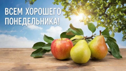 ������ ����, ��������� �������!