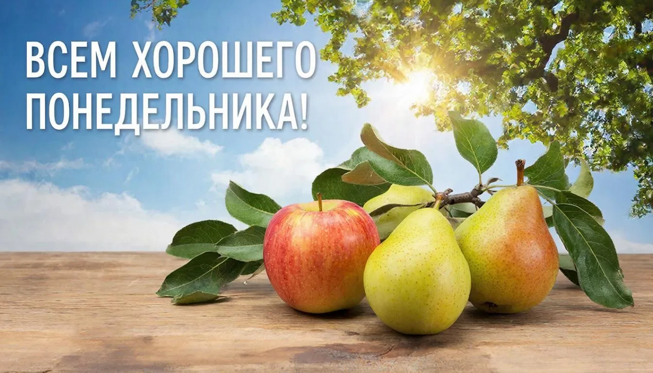 Доброе утро, уважаемые земляки!