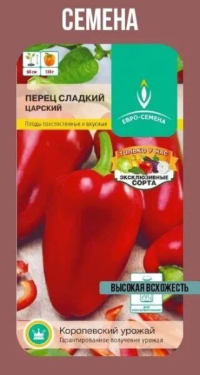 ����� �������: ��������� ��������� ����� � ���������������