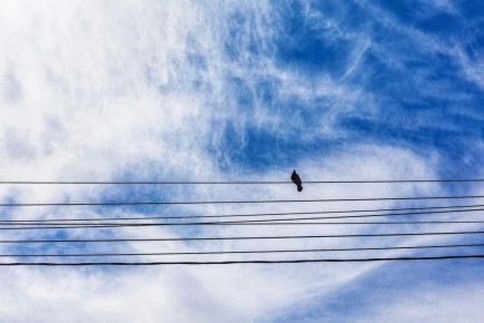 Доброе утро . Желаем вам хорошей и тёплой недели — уже пора, чтобы весна проявила себя