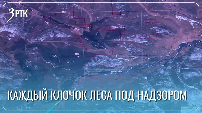 Видеокамеры покрывают три миллиона гектаров забайкальских лесов