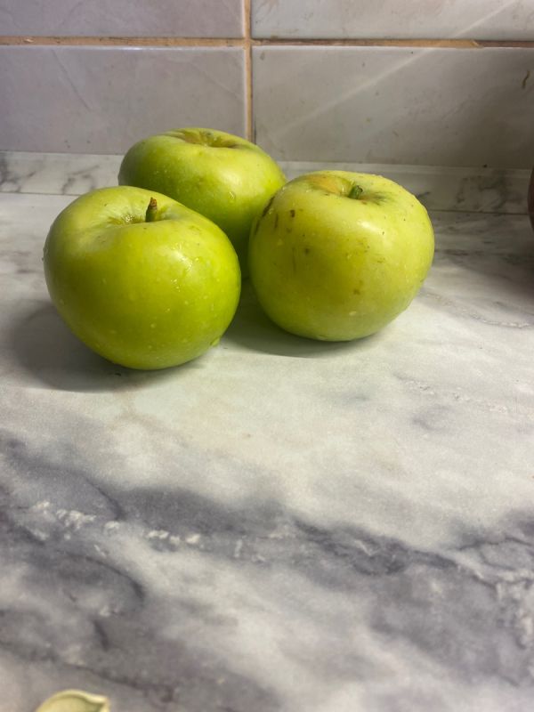 �������� � ��������