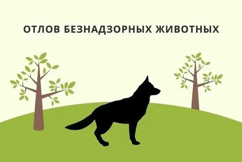 ��������� ������ ������������ �����