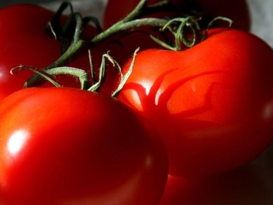 ������ ������� �� ������� � ��� ������, ��� ������ ������������ ��������