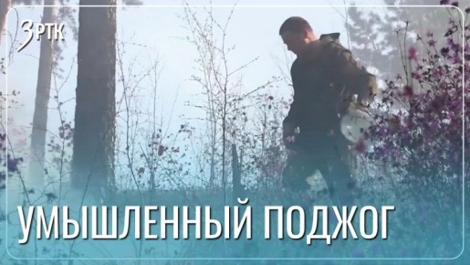 Признание поджигателей: бросил окурок и намерено поджег сено