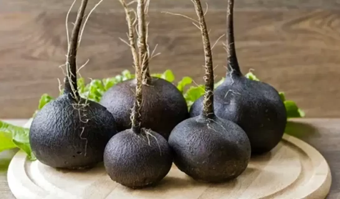 Редкое лакомство: редька в горячих блюдах русской кухни