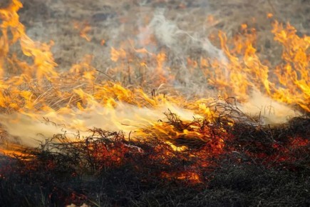 ��� ����� ����� � ������ ���� � ������!