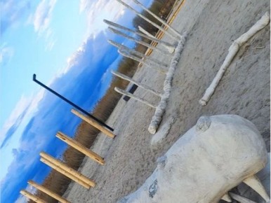 ������ ������� ���������� ���������� ������ �� ��������������� ���������� 6-�� �����������