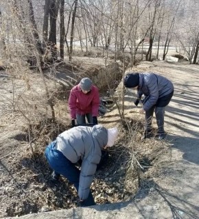 � ���� ������������ �������� �������!