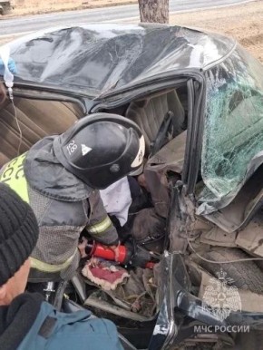 � ���������� �� �������� �����: