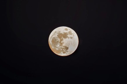 ������ ����, �����������!. ������� ��� ���� � ��������! ����� ��� ����� ��������� �������������� ��������� ����: ����� ����������