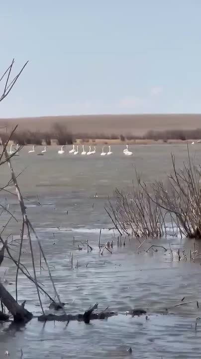 ������ ����, ����������! ������� � �������, 17 ������