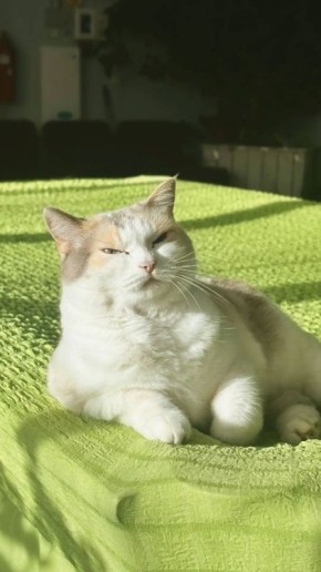 ������ ����, ����������! �� ��������� �����������, 19 ������