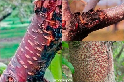 ����������: ��� ���������� � ���������� ������ ������ � ������ ��������� �������