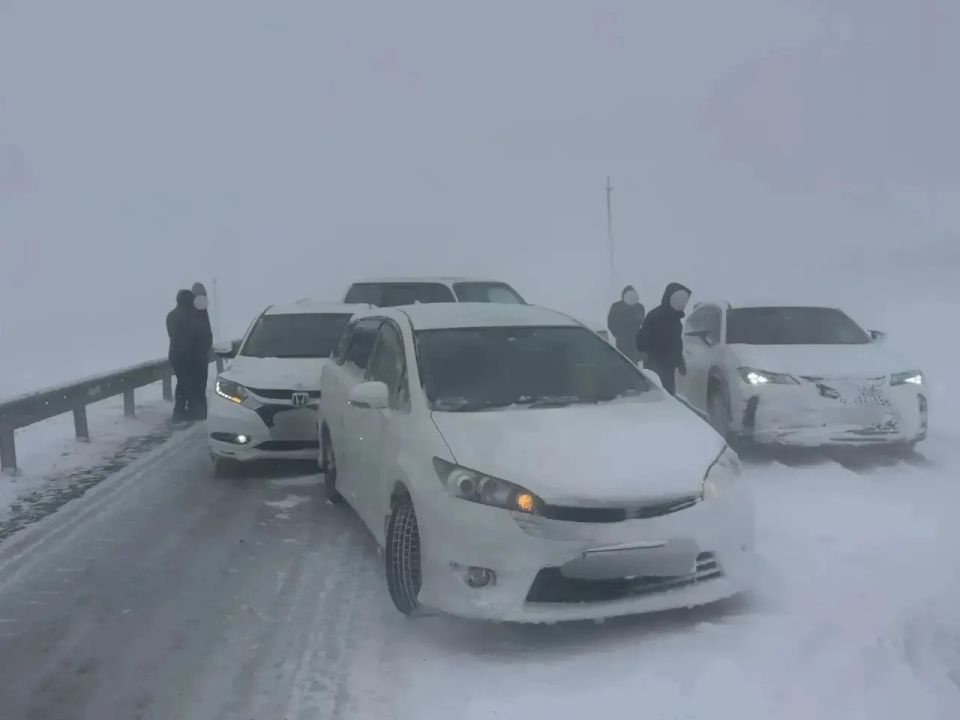 �� ������ ����� � ����������� ��������� ������ � �������� 11 �����