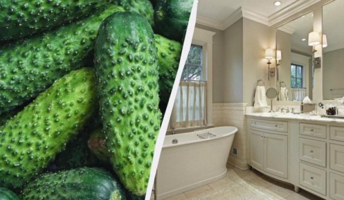 ������ � ������: ����������� ������� ��� ������� �������