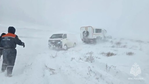 ��������� ������������ ����� 250 �������, � ��� ����� 28 �����, ���������� �� ������ ���� - ����������� ��-�� ���������, �������� � ������� ���