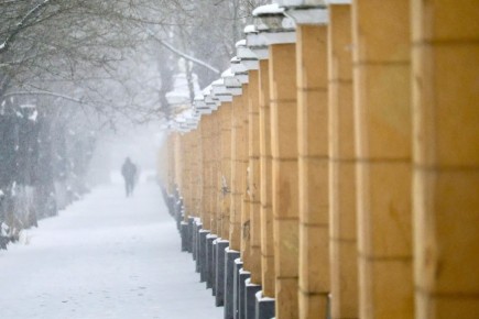 ������ ����, �����������. ��� � ����� ������� ������ ��������! ����� ��� ������� ����������� � �������� ����� ������� �������� ����: �������� ��������