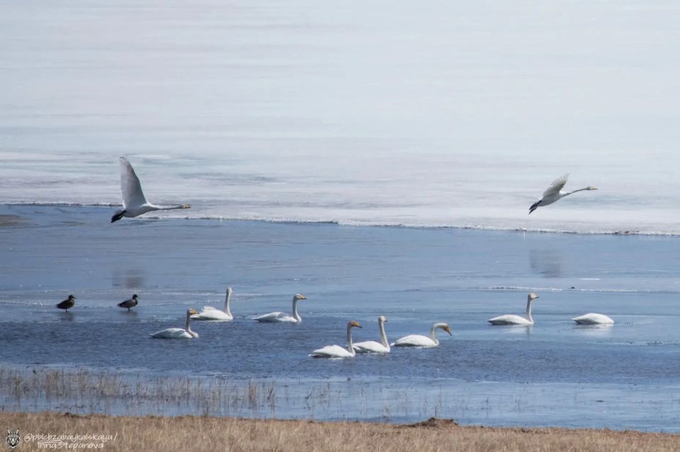 ������ ����, ����������! ������� � �����������, 20 ������