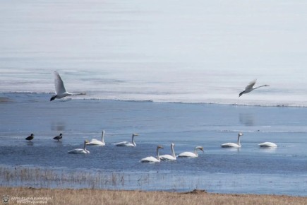 ������ ����, ����������! ������� � �����������, 20 ������