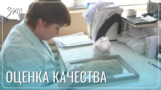 ������������� �������� �������� ������ ������� ����� ��������