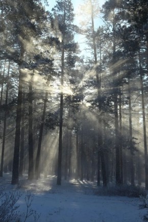 ������ ����!. ����� ��� ����� ��������� �������� ������� � ������ �� ���� ����: ����� ����������