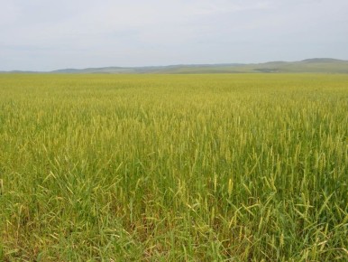 ���������� ���������� �������� 25 ��������� ������ �� ����������� ������ �� ���������������