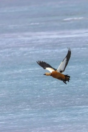 ������ ����, ������ ���������� � ����� �������! ������� 22 ������ � �����