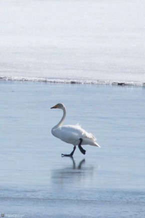 ������ ����!. ����� ���� ���� ����� �������� ��������� �������� � ���������� ���������! �� ���� � ������-�������, ������� ��������� �� ����� ����� � �������� ������