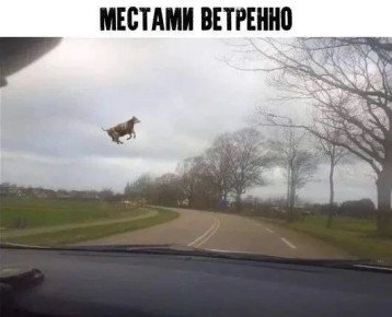 �� ��� ������? � ������ �����