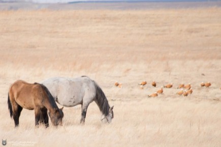 ������ ����!. ����� ���� �������� � ������ � �������� ����������! ����: �������� �� ��������� �������� �������