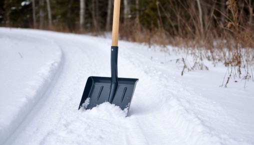 ��� ��������� ������ �����: �������� �������������� ��������� ��� �����