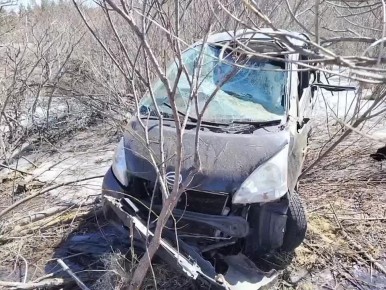 24 ������ � ������� ����� �� ���������� ������� � �������� � ��������-������������� ������ �������� ���������� ���������, �� ��������������� ������, �� ��������� � �����������, �������� ����� � �������� ����� � �����������...