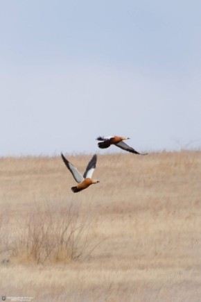 ������ ����. ����� ��� ���������� ����� ����������, � ���������� �������� ��������� ���� ����! �� ���� � ������ ������ ����� �� ��������� ���������� ������! ����: �������� �� ��������� �������� �������