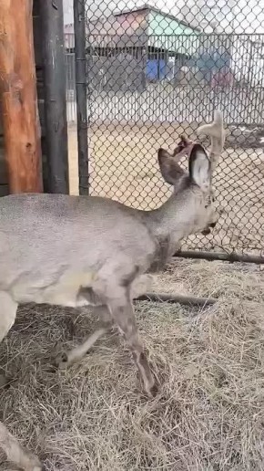 ������� � �����. ������� ����� ����� � ����� �� ���� �� �������