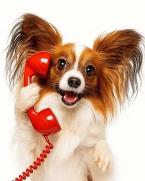 �����, �� ������ ��� �������� ������� �� ���������������� ��������� ��������?