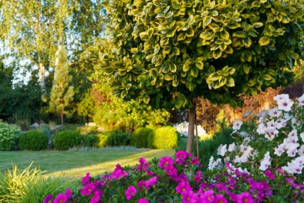 ��� ��������� ��������, ��������� � ����� ������� �������