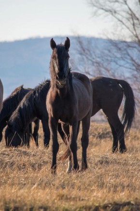 ������ ���������!. ������ ��� ���������, ���������� �������� � ������� ����������� ����: �������� �� ��������� �������� �������